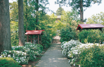 高田寺町 寺社めぐり 大嚴寺