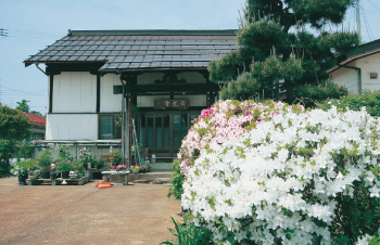 高田寺町 寺社めぐり 円光寺