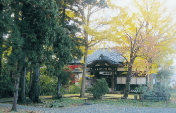 高田寺町 寺社めぐり 妙国寺