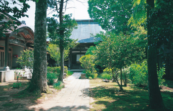 高田寺町 寺社めぐり 専称寺
