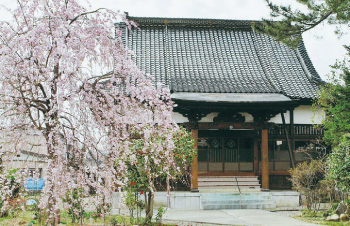 高田寺町 寺社めぐり 称念寺