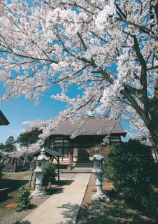 高田寺町 寺社めぐり 性宗寺